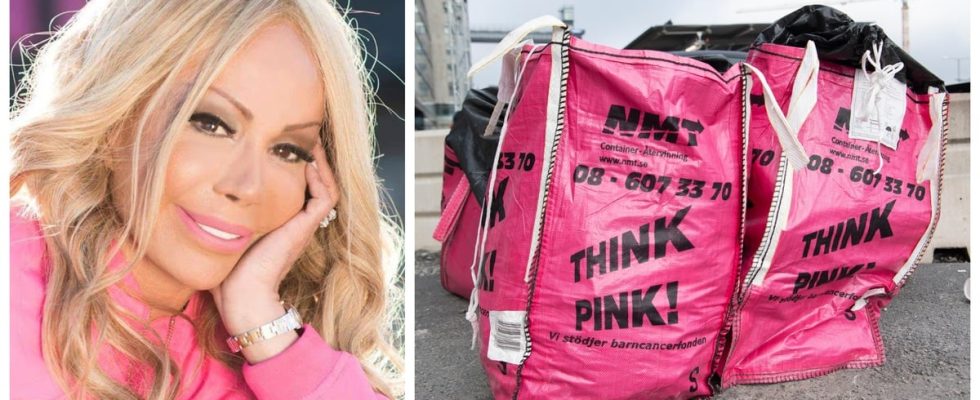 Everything about Bella Nilsson accused in the Think Pink