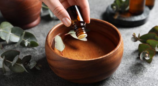 Expectorant this essential oil is best for bronchitis