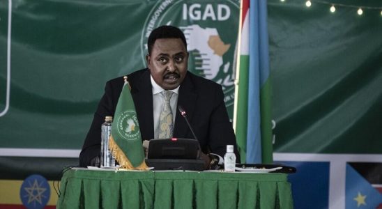 Faced with the crisis in Sudan and Ethiopia Somalia tensions Igad