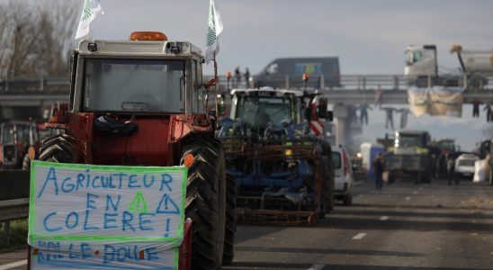 Farmers discontent spreads across Europe