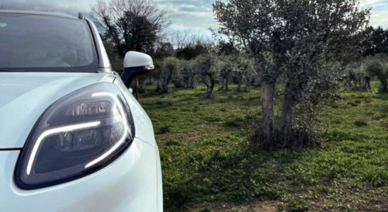 Ford is trying to produce vehicle parts from olive tree