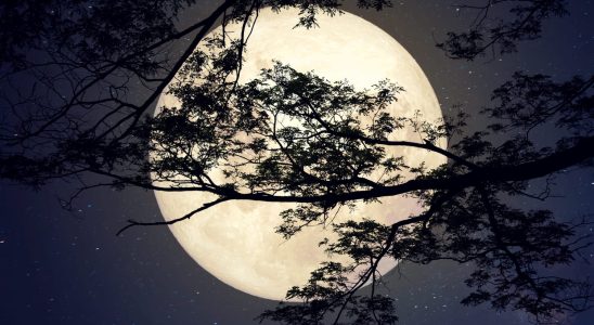 Full Moon in January 2024 what effects according to your