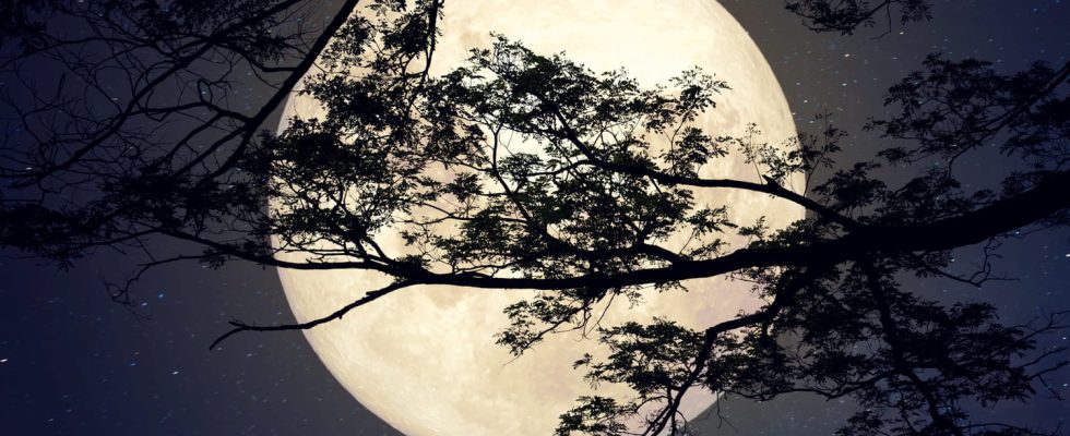 Full Moon in January 2024 what effects according to your