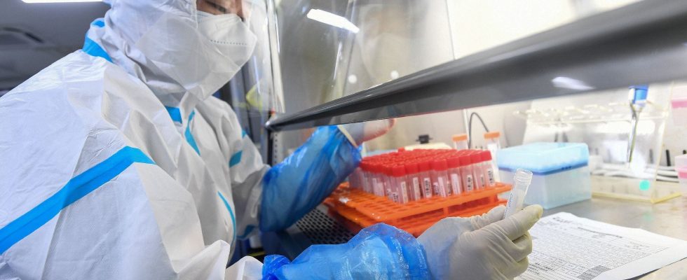 In China a potentially deadly coronavirus created in the laboratory