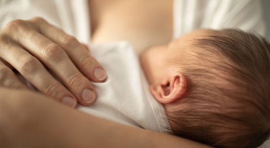 In France the number of babies at its lowest since