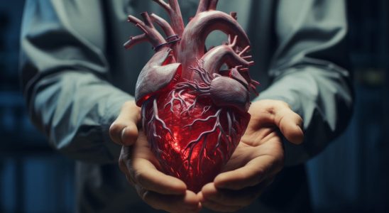 New bacteria causing heart infection
