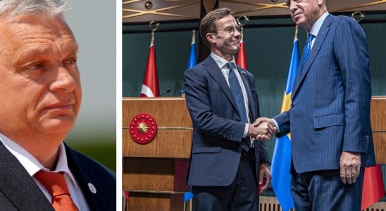 Orban Hungary supports Swedish NATO membership