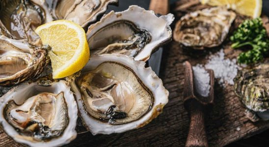 Oysters from the Arcachon basin temporarily banned for sale