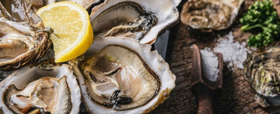 Oysters from the Arcachon basin temporarily banned for sale