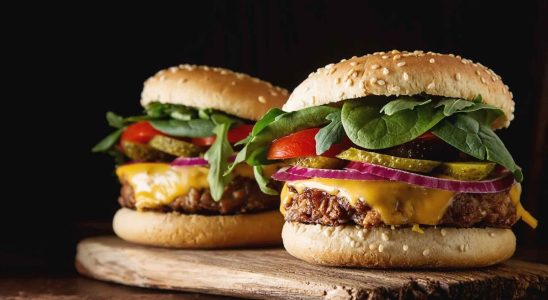Plant based burgers they would be less healthy than meat ones