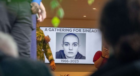 Six months after the death of Sinead OConnor the end