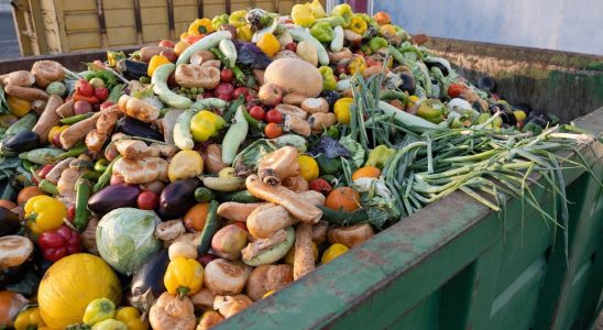 Sorting of bio waste ineffective for a majority of French people