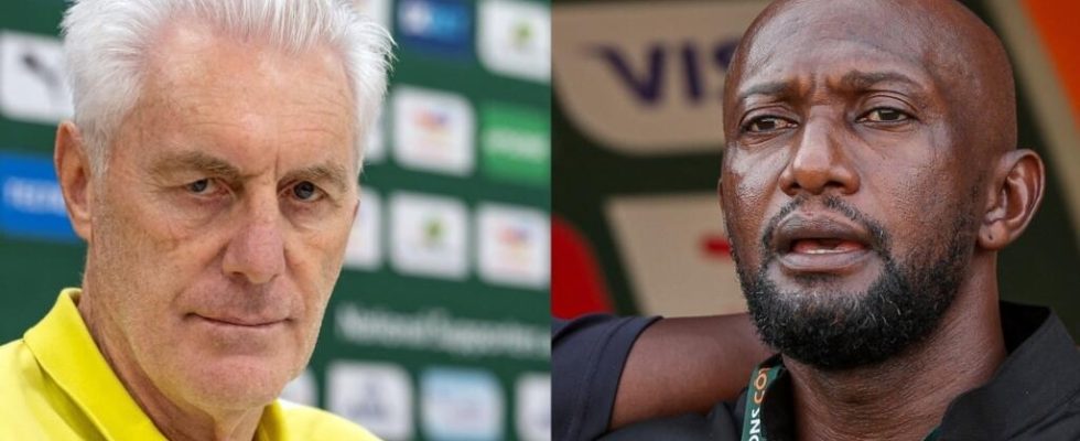South Africa Namibia a derby for two coaches who are completely