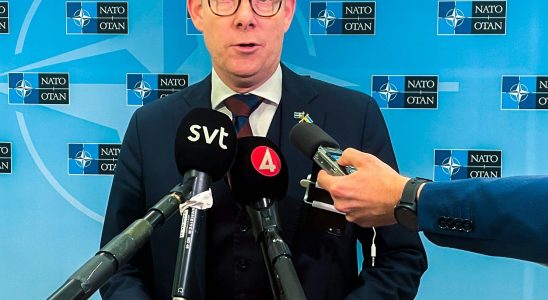 Sweden must pursue solidarity alliance policy