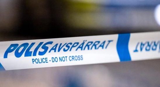 Teenage boys charged with murder in Kalmar