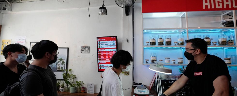 Thai cannabis ban bill