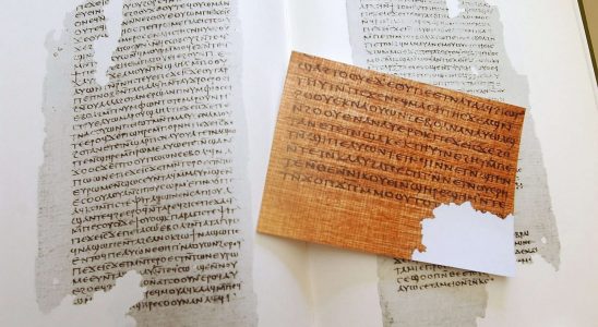 The Bible totally called into question by a tiny discovery