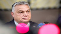 The European Parliament wants to take away Hungarys right to
