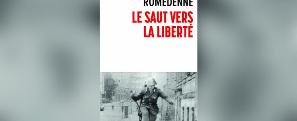 The Leap of Freedom by Patrice Romedenne