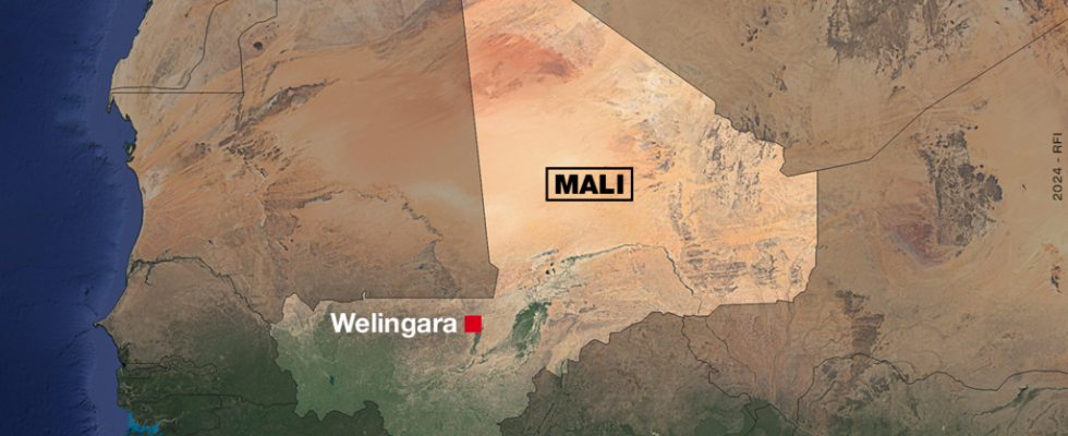 The Malian army and the Wagner group execute 25 people