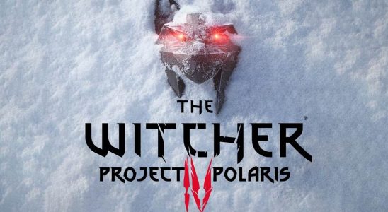 The New Game of the Witcher Series Will Go into