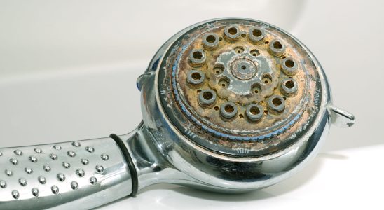 The shower head will be as good as new with