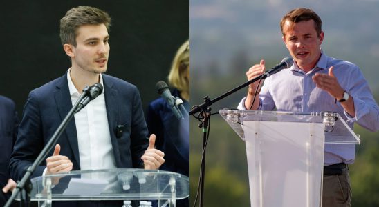 These young political gunslingers are almost certain to be MEPs