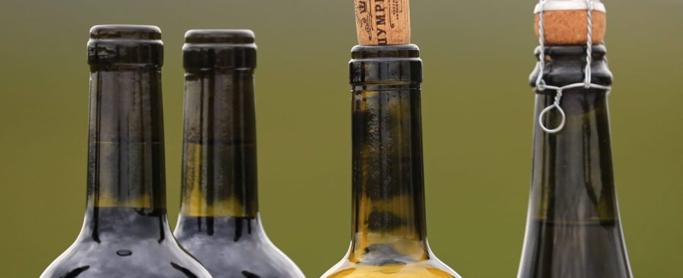 This detail on wine bottles should catch your attention too