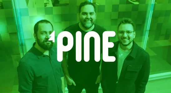 Turkish Game Studio Pine Games Entered 2024 by Receiving an