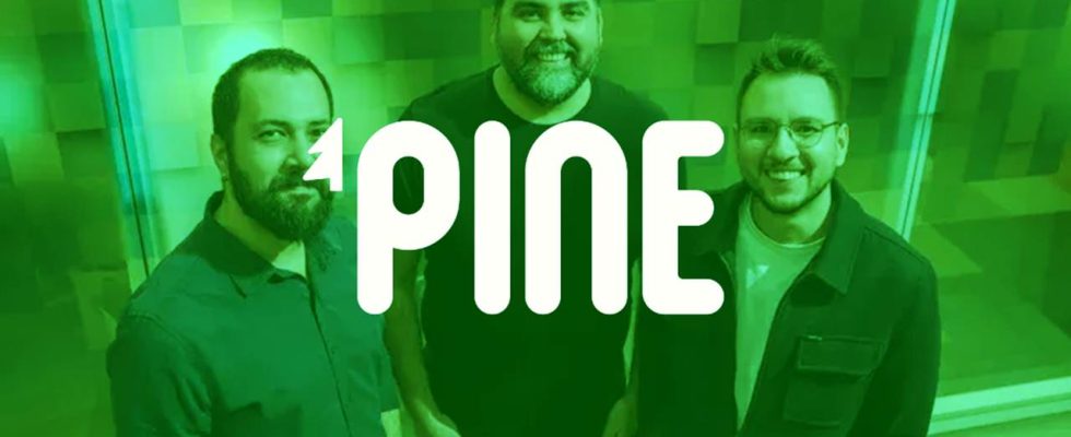 Turkish Game Studio Pine Games Entered 2024 by Receiving an