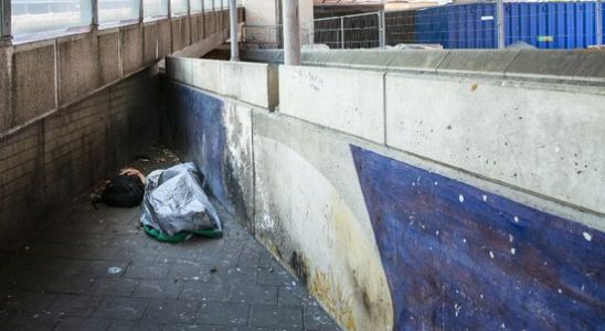 Utrecht homeless people followed for 5 years by researcher There