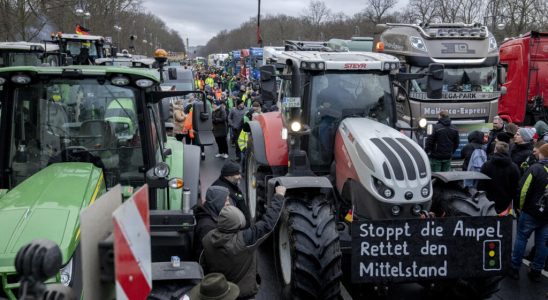 We are no longer letting ourselves be fooled German farmers