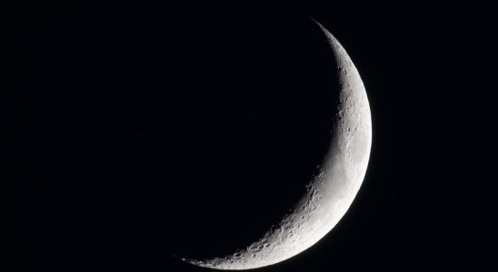 What effects does the new Moon of January 11 have