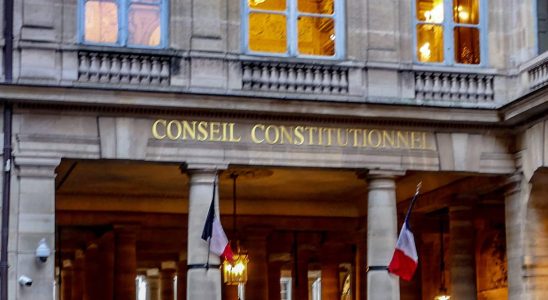 a third of the text censored by the Constitutional Council