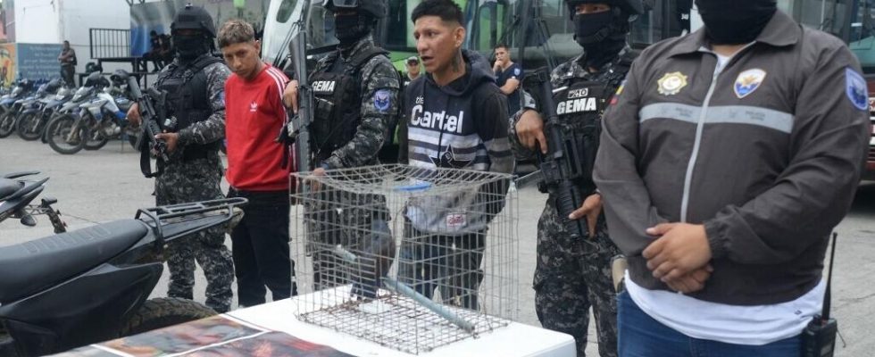raid within the Choneros gang in Guayaquil