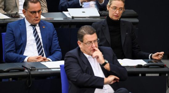 the AfD wants a referendum on leaving the EU