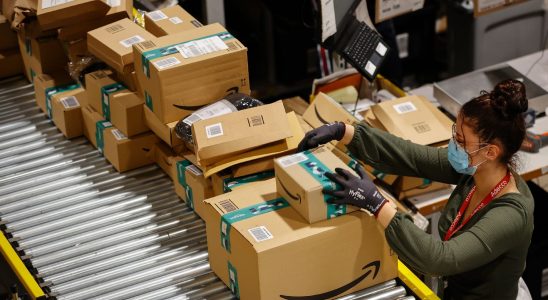 the French subsidiary of Amazon condemned – LExpress