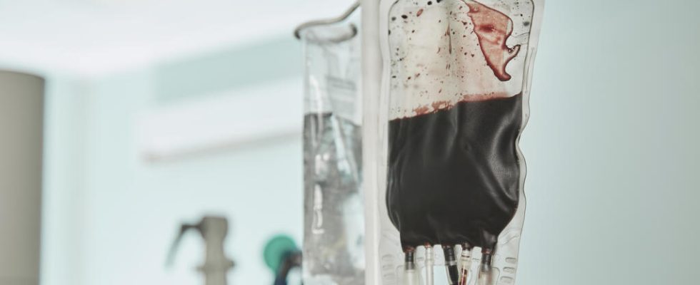 the families of the victims of contaminated blood are still