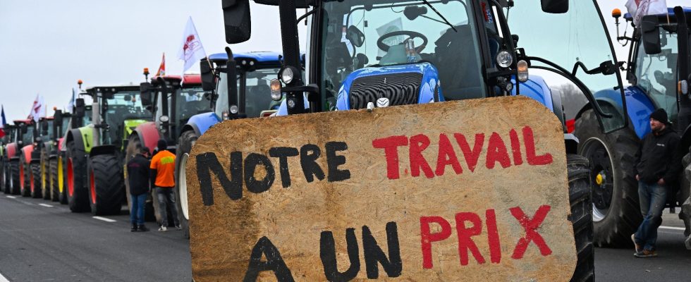 the hidden issues of the peasant revolt – LExpress