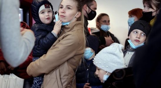 A UNHCR report on Ukrainian refugees in France highlights the