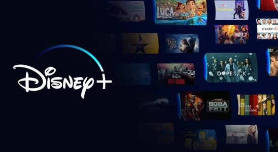 After Netflix Disney is in turn tackling account sharing by