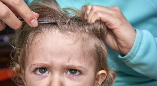 Against lice mothers praise the merits of this ingredient other