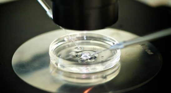 Alabama Supreme Court considers frozen embryos to be children