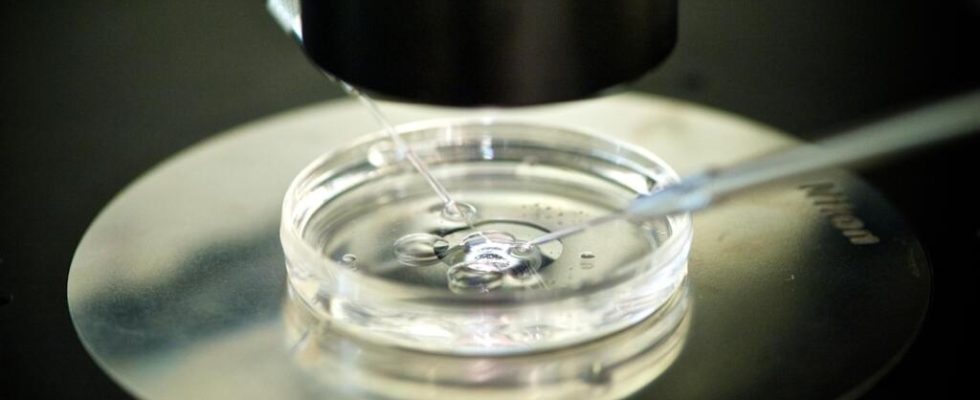 Alabama Supreme Court considers frozen embryos to be children