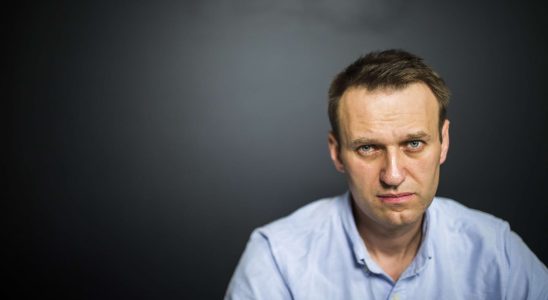 Alexei Navalny and his controversial political positions