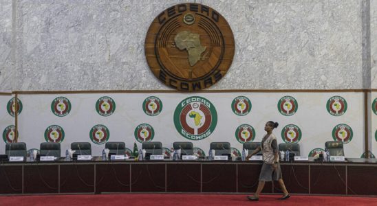 Amputated by several limbs ECOWAS must decide on several hot