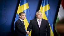 Analysis Sweden humiliated by Orban finally becomes a member of
