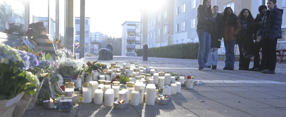 Boy murdered peer in Skogas verdicts stand