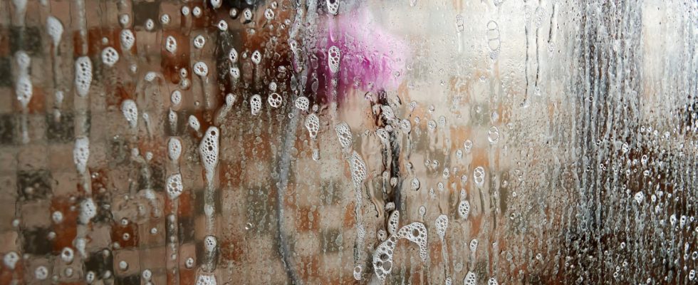 Cleaning shower screens has never been easier thanks to these