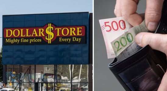 Dollarstore is forced to pay SEK 700000 in fines